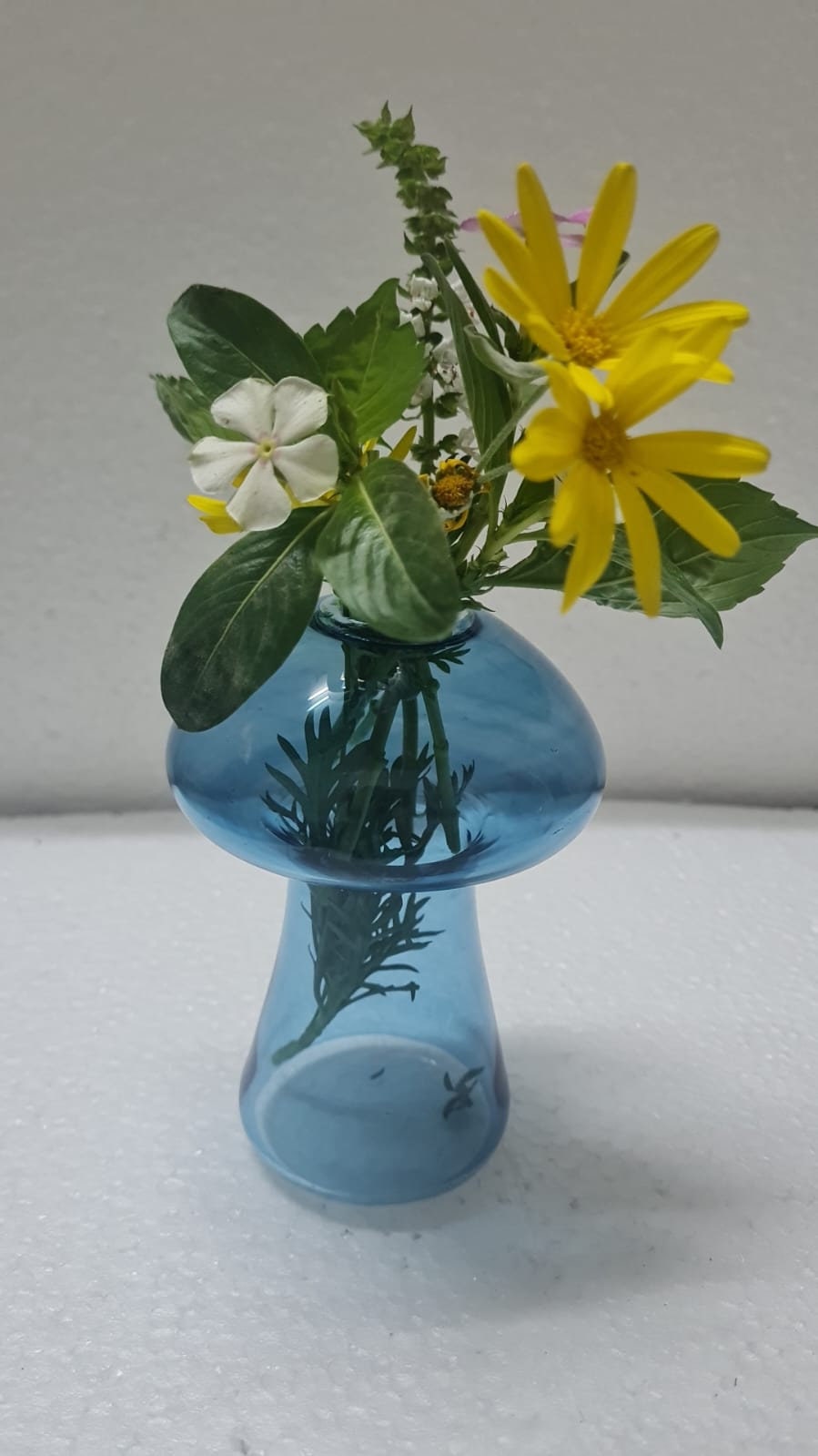 Set of 3 Handmade Whimsical Glass Mushroom Vase Set - Mini Fungi Home Decor, Creative Flower Vases, Hydroponic Art Plant Table Centerpiece