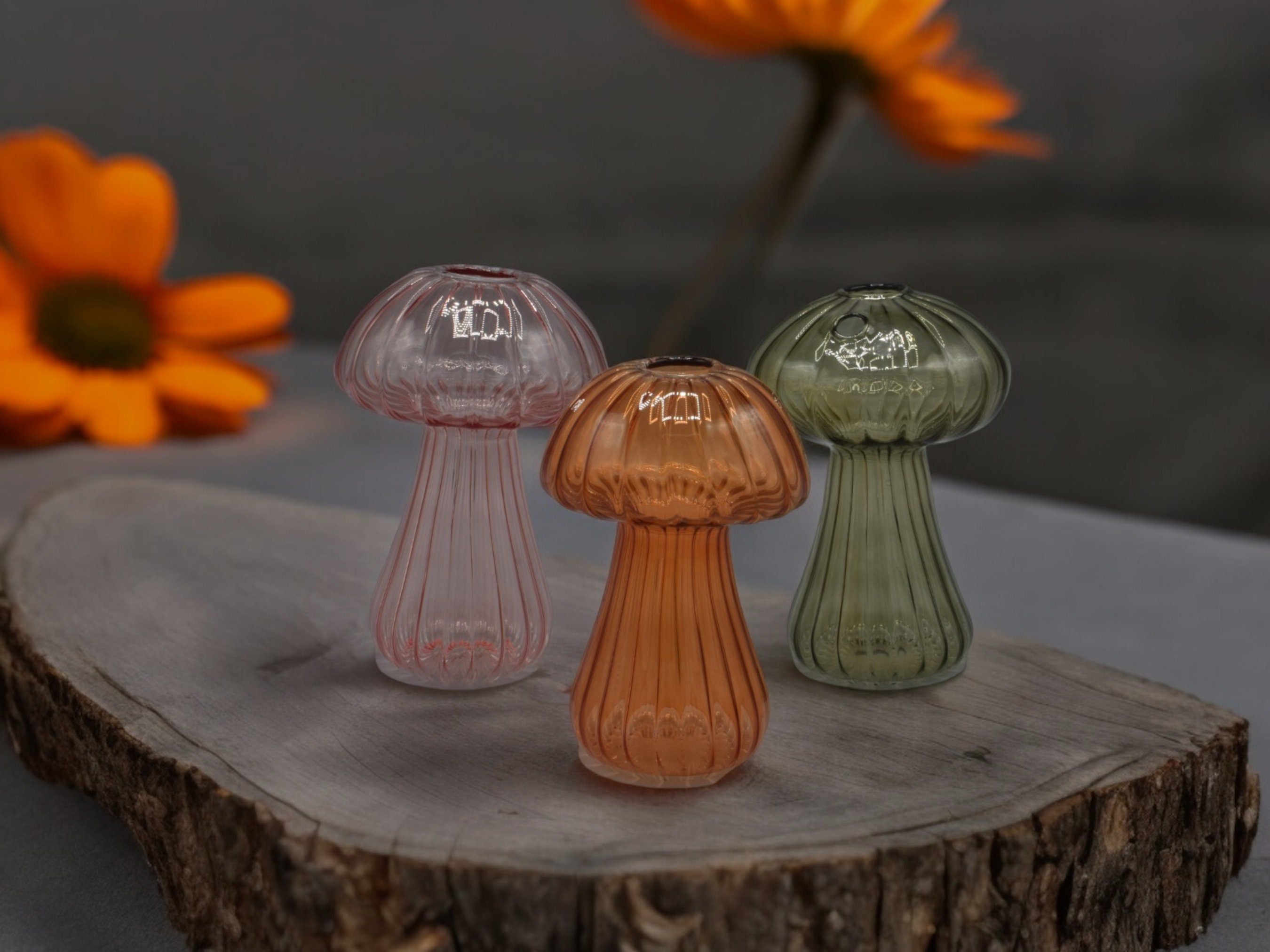 Whimsical Glass Mushroom Vases Set – Unique Fungi Decor – Handcrafted Hydroponic Centerpieces – Handcrafted Hydroponic Centerpieces